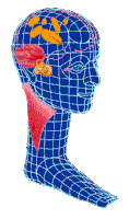 Société Internationale d'Otoneurologie